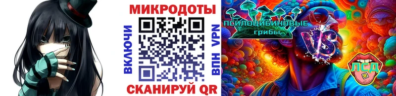 Псилоцибиновые грибы GOLDEN TEACHER  закладка  Карасук 